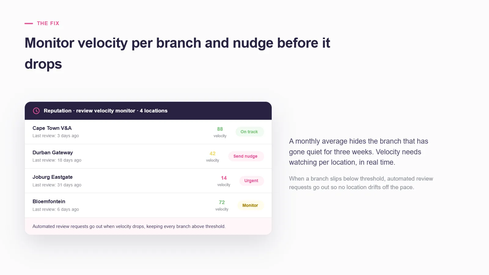 Reputation review-velocity monitor across four locations showing per-branch velocity scores and status flags — on track, send nudge, urgent and monitor — based on days since the last review.